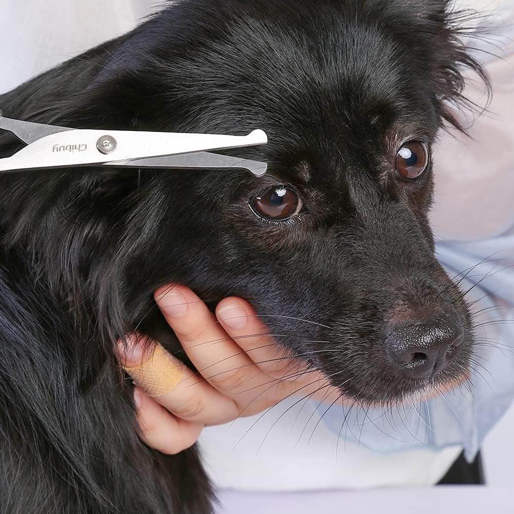 Chibuy Professional Dog Grooming Scissors Set with Safety Round Tips - Stainless Steel Eye/Face Shears for Dogs, Cats, and Furry Animals, 6.7" - Pack of 2