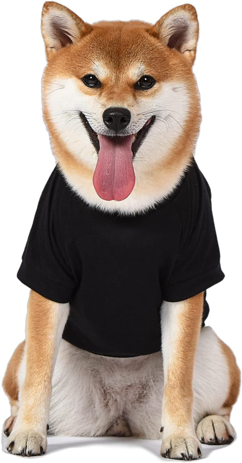 X-Small Black Lightweight Semi-Stretch Dog T-Shirt for Very Small Dogs by Peanuts (FF13344)