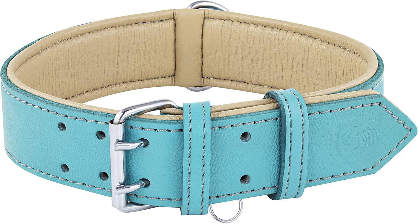 Riparo Genuine Leather Dog Collar for Medium Dogs, 1" Wide (Neck Size 13.5ā-17.5ā, Aqua)