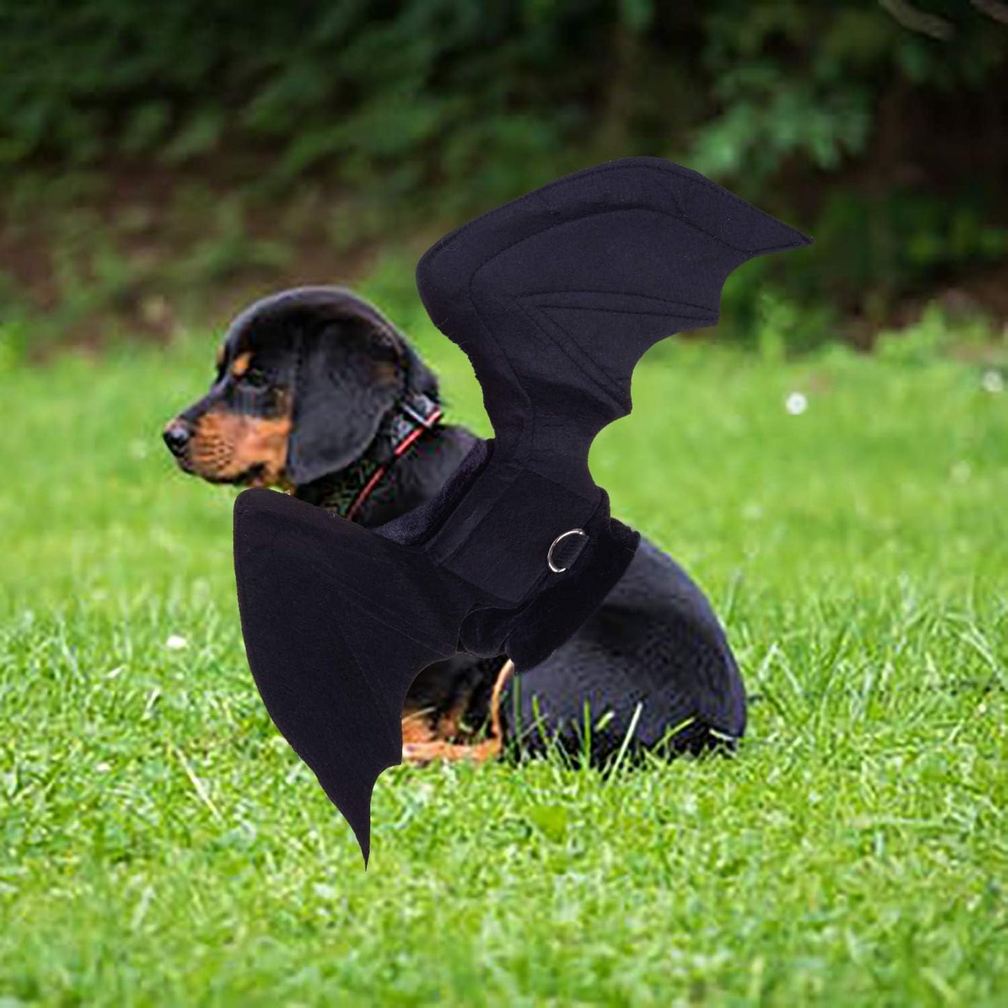 Dog Bat Wings Costume for Pets - Ideal for Halloween and Christmas Celebrations