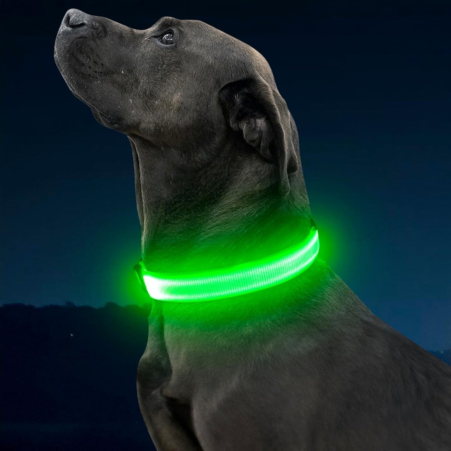 Rechargeable LED Dog Collar - Glow-in-the-Dark Safety Light for Night Walking and Camping (Green, Large)
