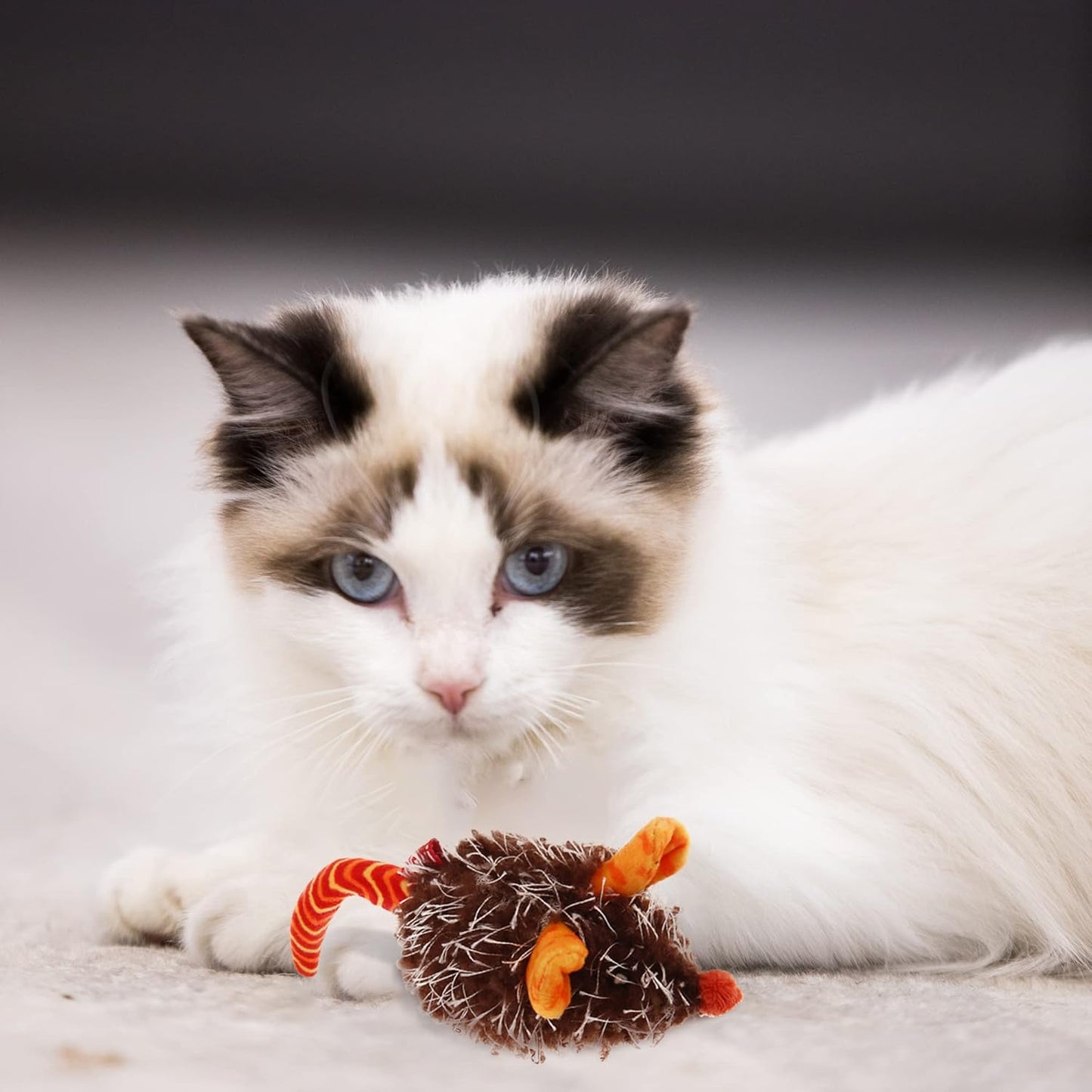 Interactive Indoor Cat Toys with Realistic Squeaky Sounds and Automatic Movement for Self-Play and Exercise (Orange Ear)