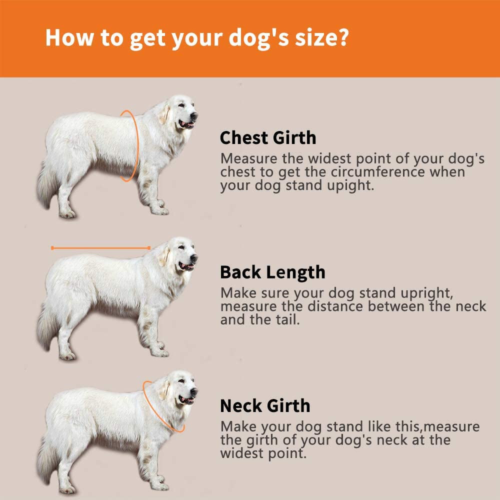 Dog Life Jacket - Adjustable Pet Swimming Vest for Short-Nosed Breeds (Pug, Bulldog, Poodle, Bull Terrier, Samoyed, Alaskan Malamute) - Upgrade Version (XS, Orange)
