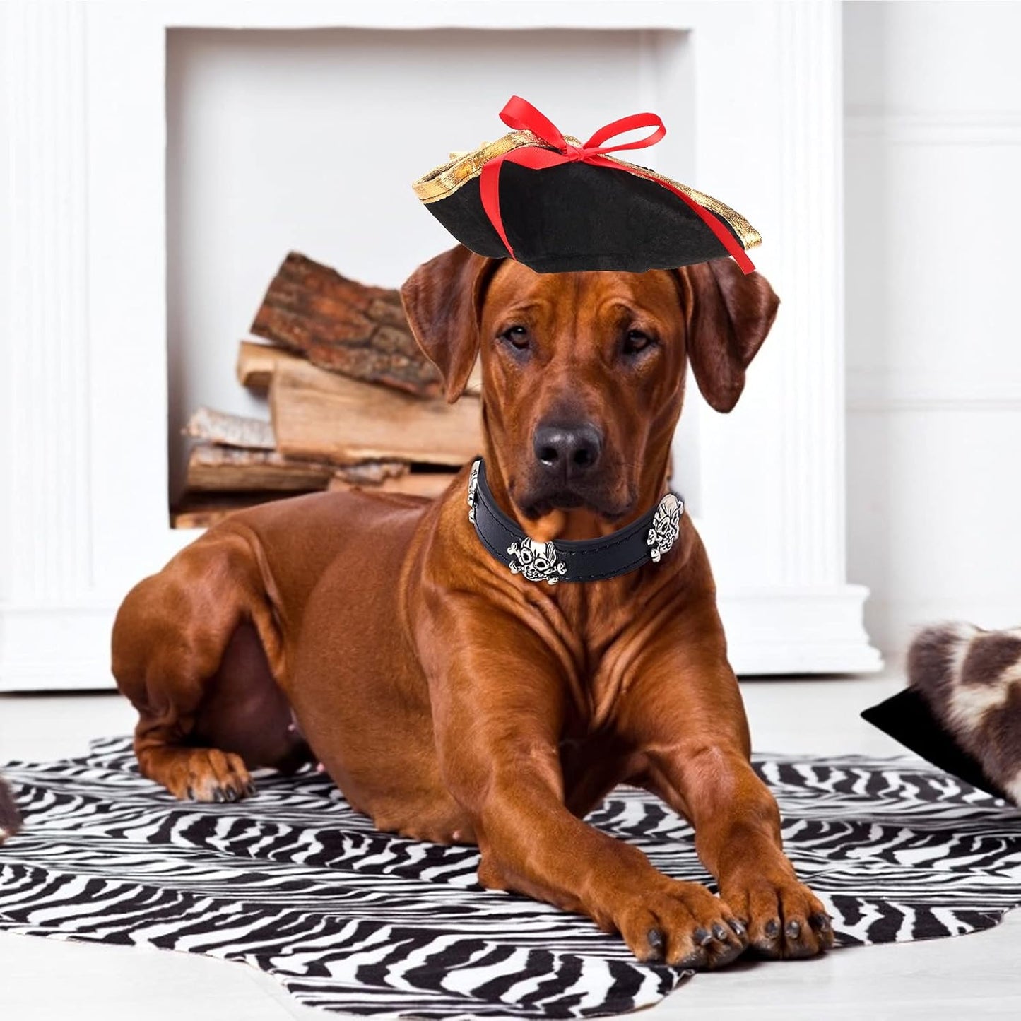Pet Pirate Hat and Skull-Studded Leather Collar Set for Cats and Dogs - Halloween Costume Accessories