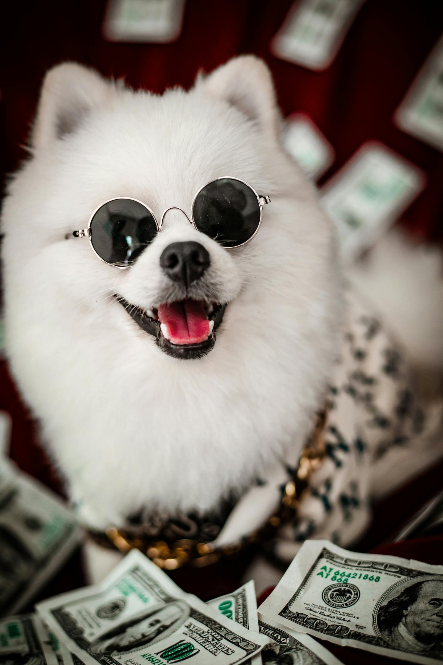 Luxury Edit
