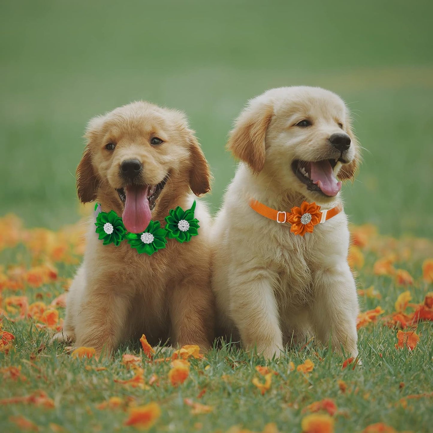 30-Piece Dog Bow Tie and Flower Collar Set with Diamond Crystal Accents for Small Dogs and Cats - Multi-Color Pet Accessories