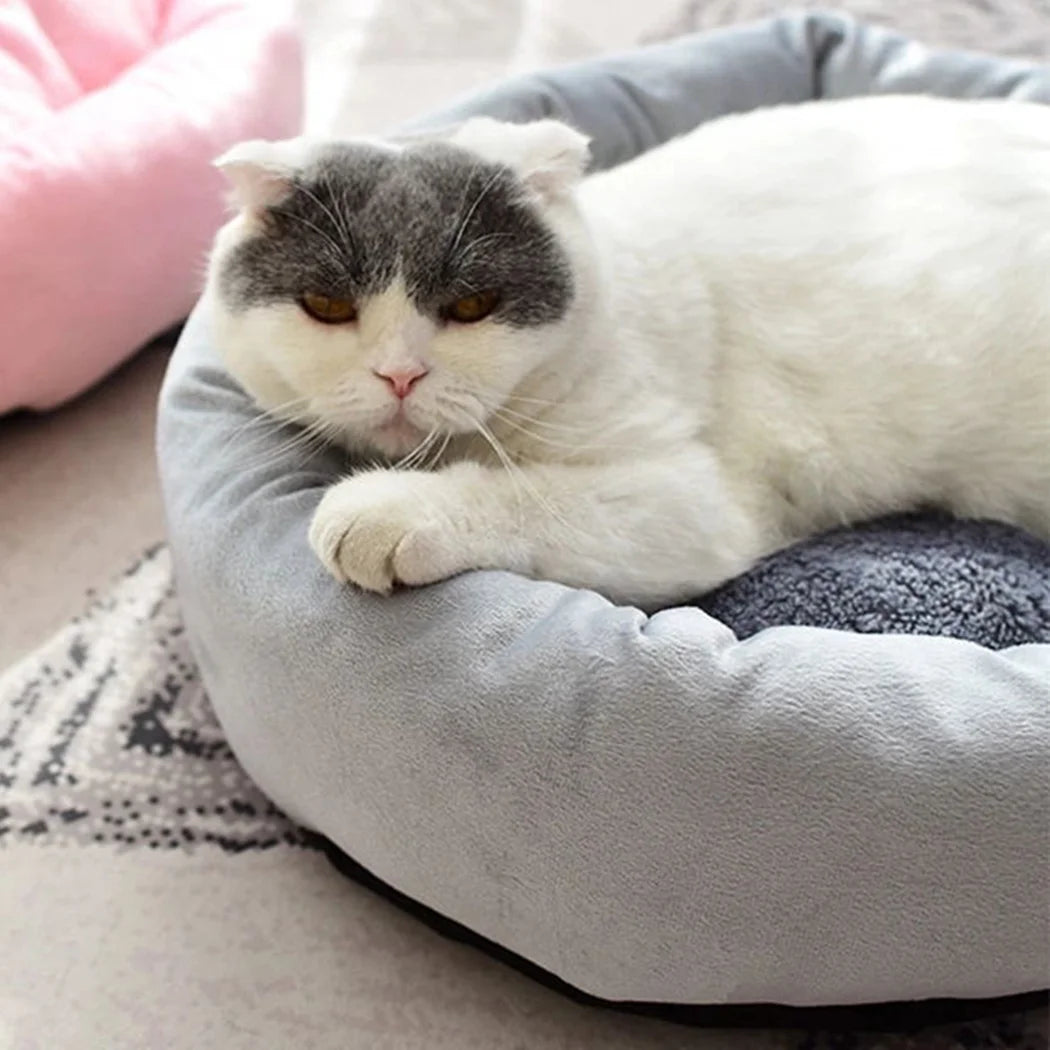 Calming Round Pet Bed with Pillow for Small Dogs and Indoor Cats