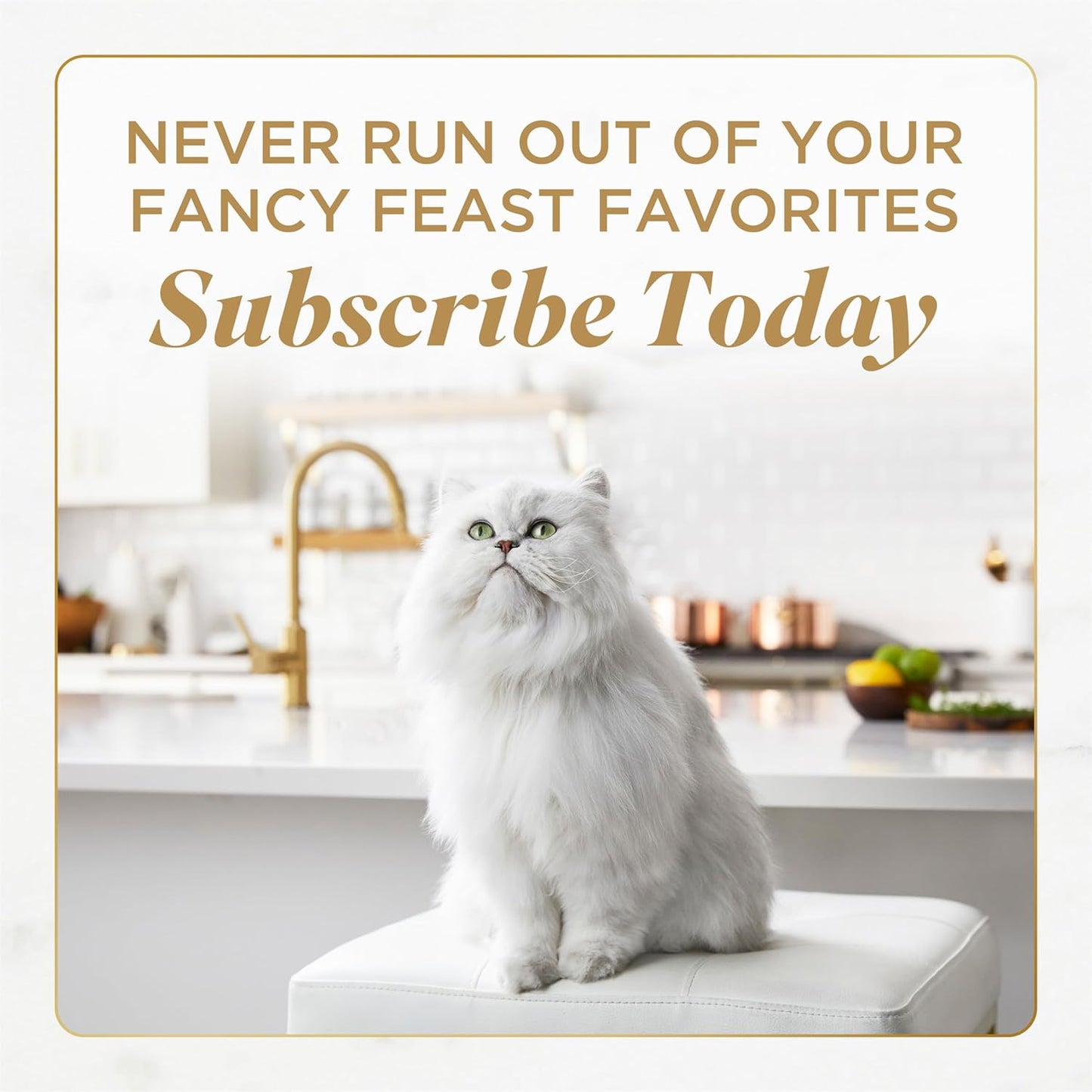 Purina Petites Gourmet Wet Cat Food Pâté with Tender Beef Entrée - Pack of 12 Tubs (2.8 oz each)