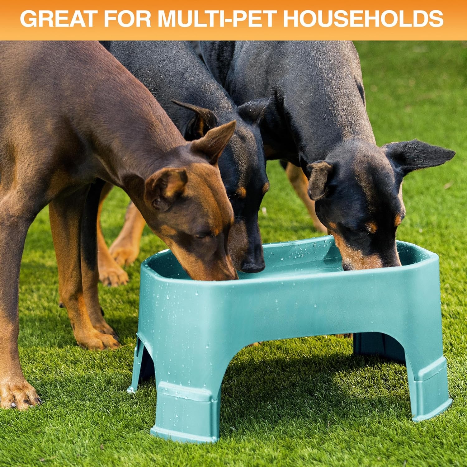 Extra Large Water Bowl for Dogs, Elevated Outdoor Dog Water Bowl (2.25 Gallon XL Capacity), Big Trough Style Food Dish for Indoors or Outside, No Spill Large Dog Bowls, Aquamarine