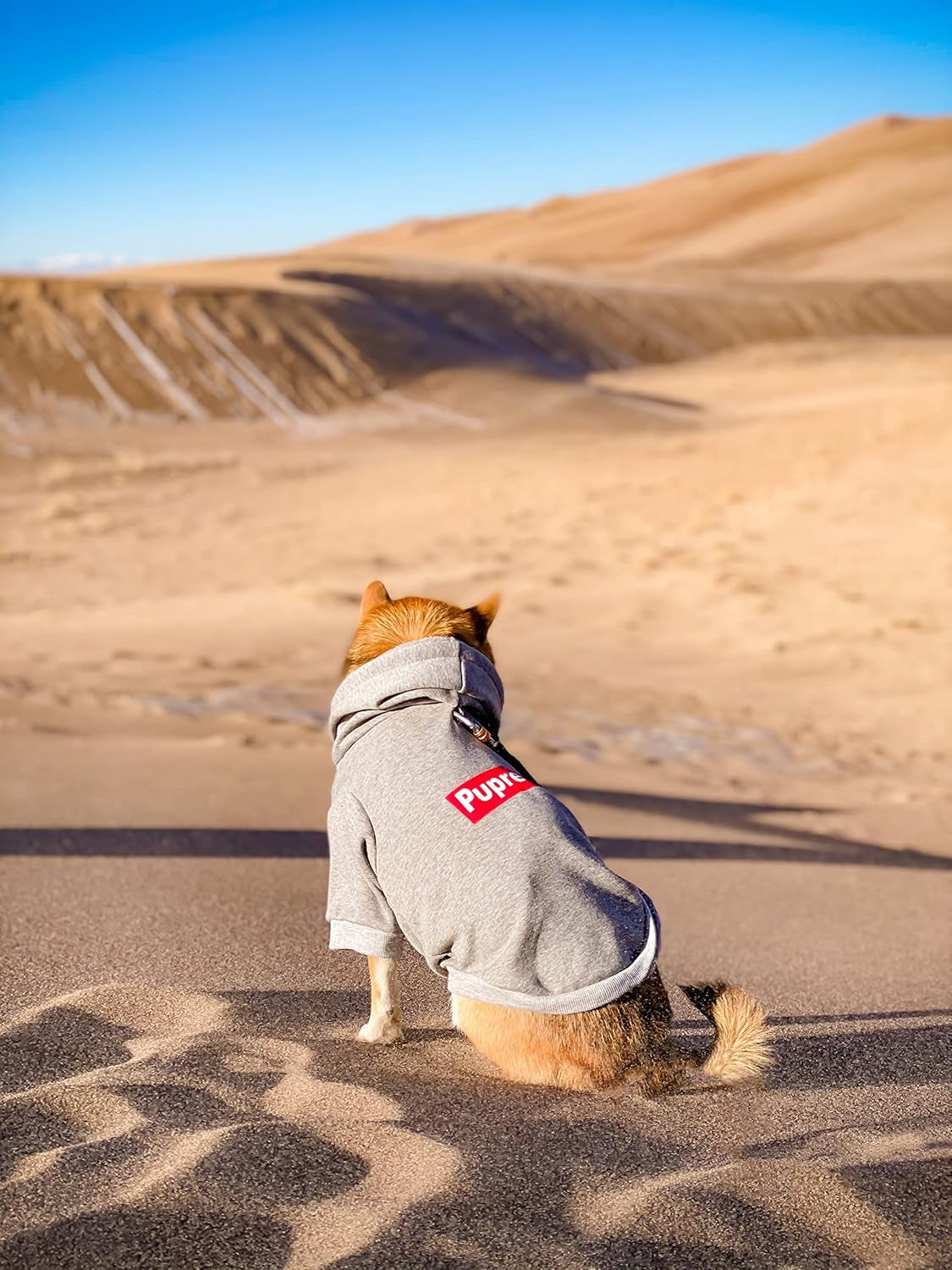 Trendy Pup Dog Hoodie & Sweater - Cozy Gray Cotton Sweatshirts for Cats & Puppies - Sizes S, M, L