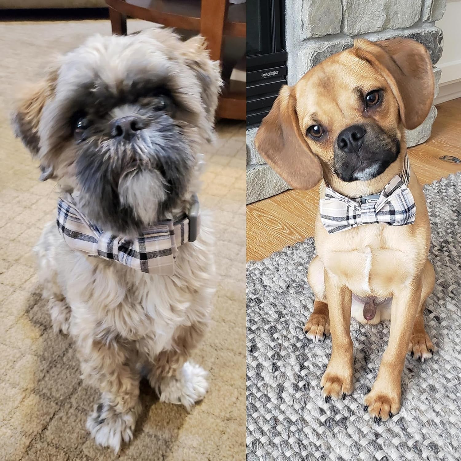 Dog and Cat Collar with Bowtie Grid Collar Plastic Buckle Light Adjustable Collars for Small Medium Large Dogs
