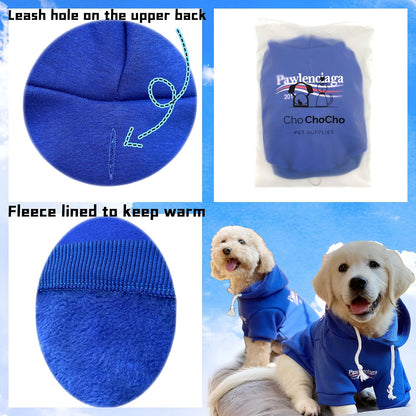 Trendy Blue Dog Sweatshirt & Cat Hoodie Tracksuit - Perfect Outfit for Small to Medium Pets (XL)