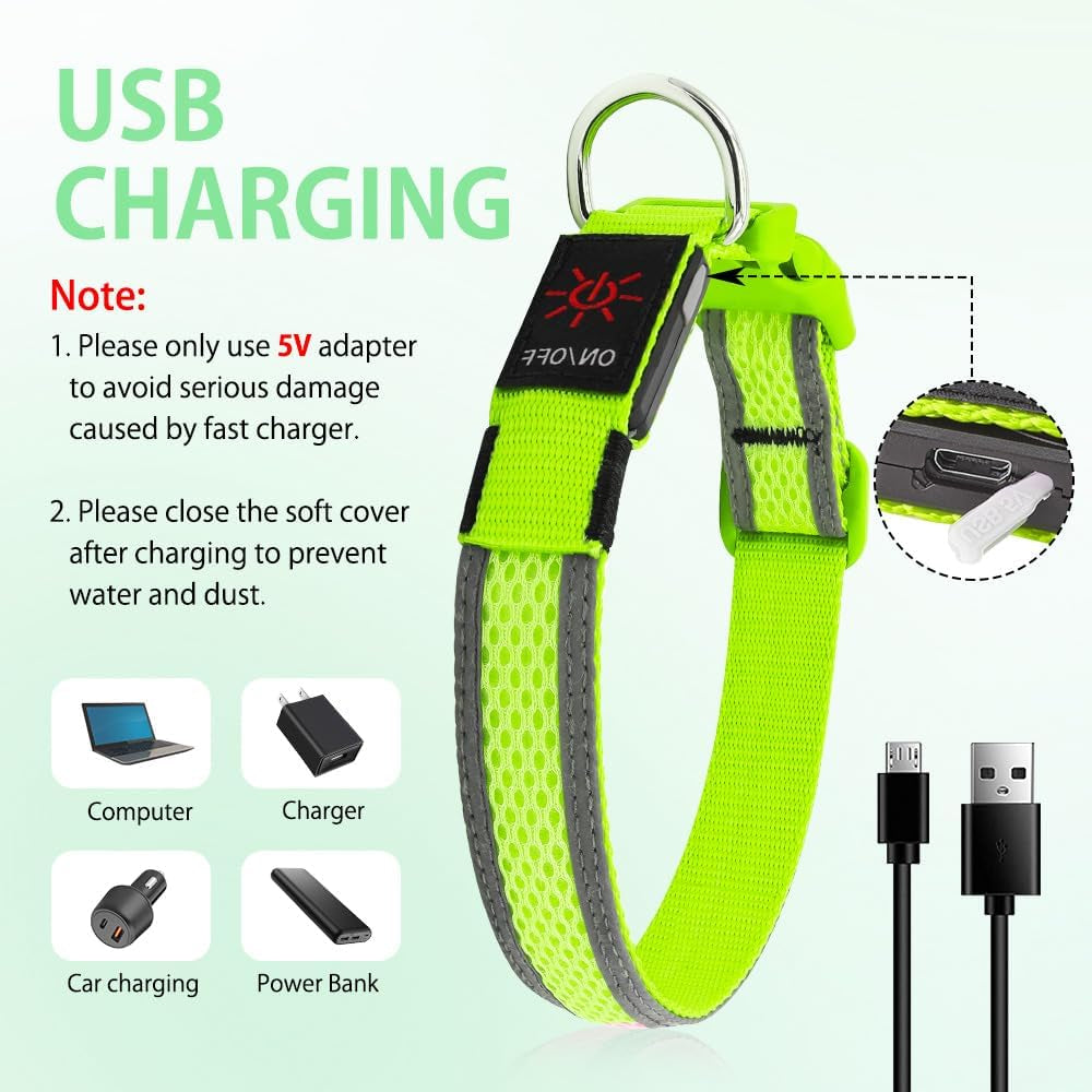 USB Rechargeable LED Dog Collar - High Visibility Glow in the Dark for Night Walking (Small, Fluorescent Green)