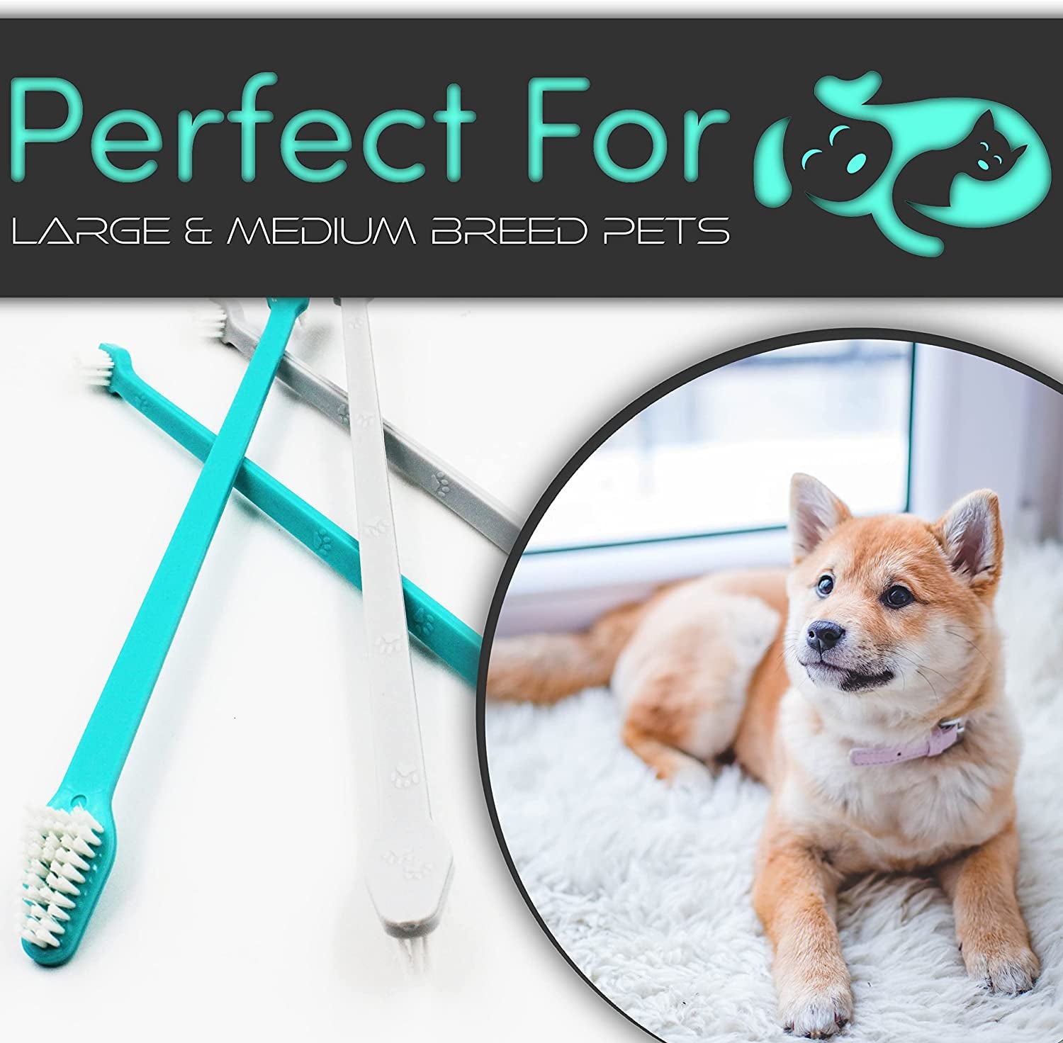 Dual-Headed Dog Toothbrushes for Small and Large Breeds, Available in Packs of 4 or 8