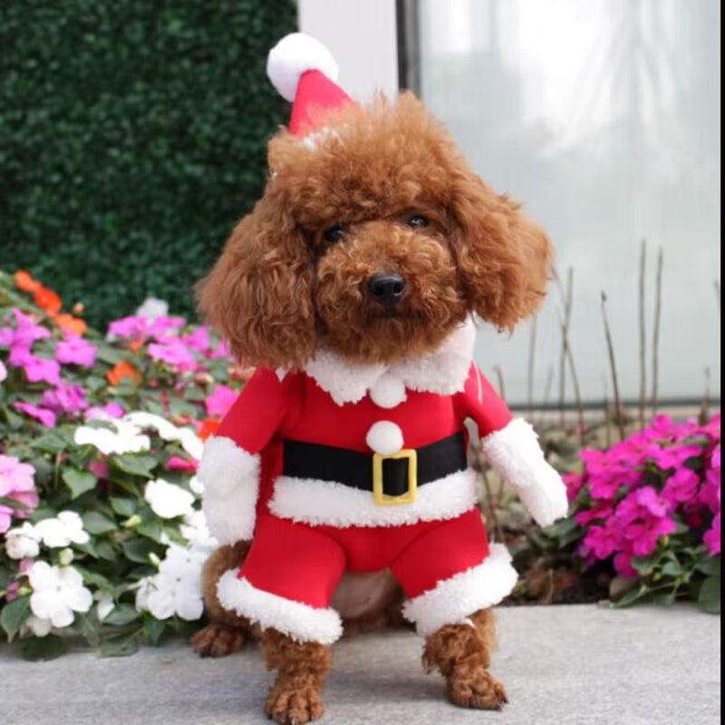 Festive Santa Claus Costumes for Dogs and Cats - Winter Warm Apparel for Chihuahuas, Pugs, and Yorkshires