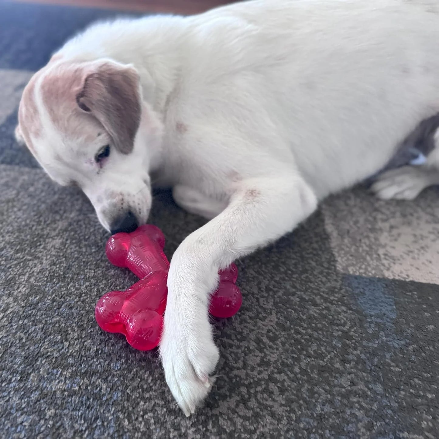 Play Strong Trident Bone Rubber Dog Toy - Y Shape, Durable Chew for Aggressive Chewers with Hollow Center for Treats, 6 Inch