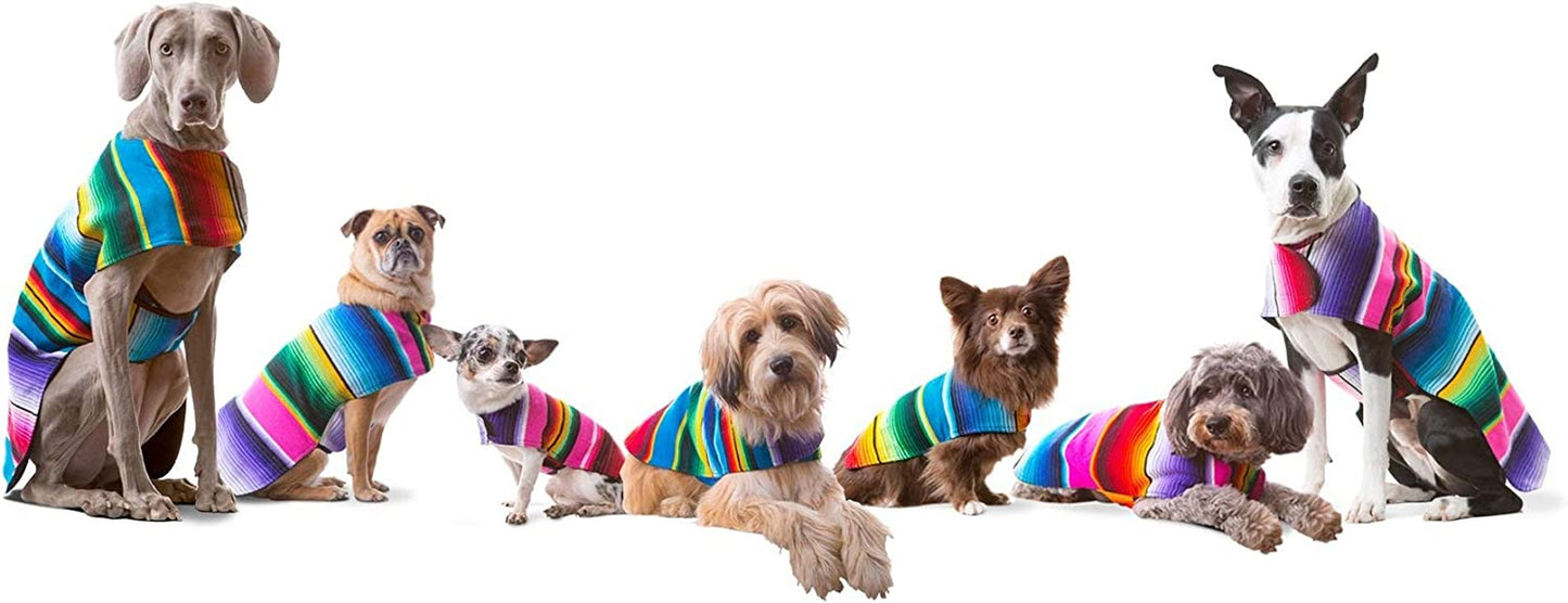 Stylish Handcrafted Dog Poncho - Authentic Mexican Blanket in Blue, XXS