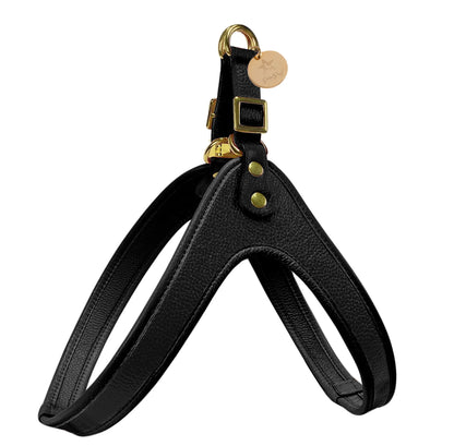 STEP-IN HARNESS