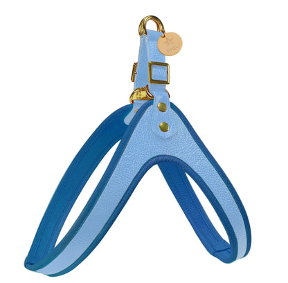 STEP-IN HARNESS