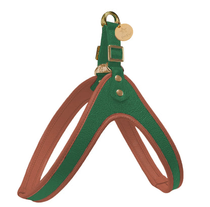 STEP-IN HARNESS