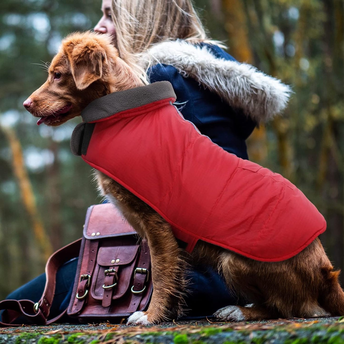 Cozy Red Winter Coat for Medium Dogs - Stylish Jacket & Sweater for Cold Weather Comfort