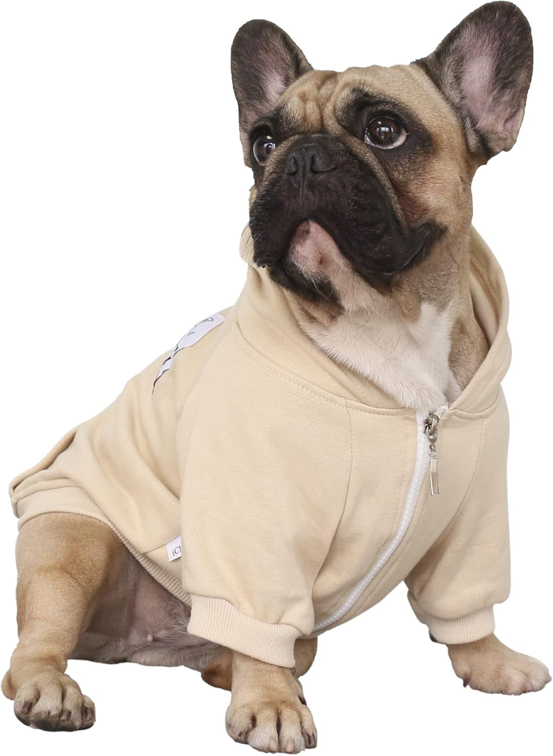 Stylish Khaki Hoodies for French Bulldogs, Pugs, English Bulldogs, Boston Terriers, Pitbulls, and Corgis - XLarge Sweatshirt for Ultimate Comfort