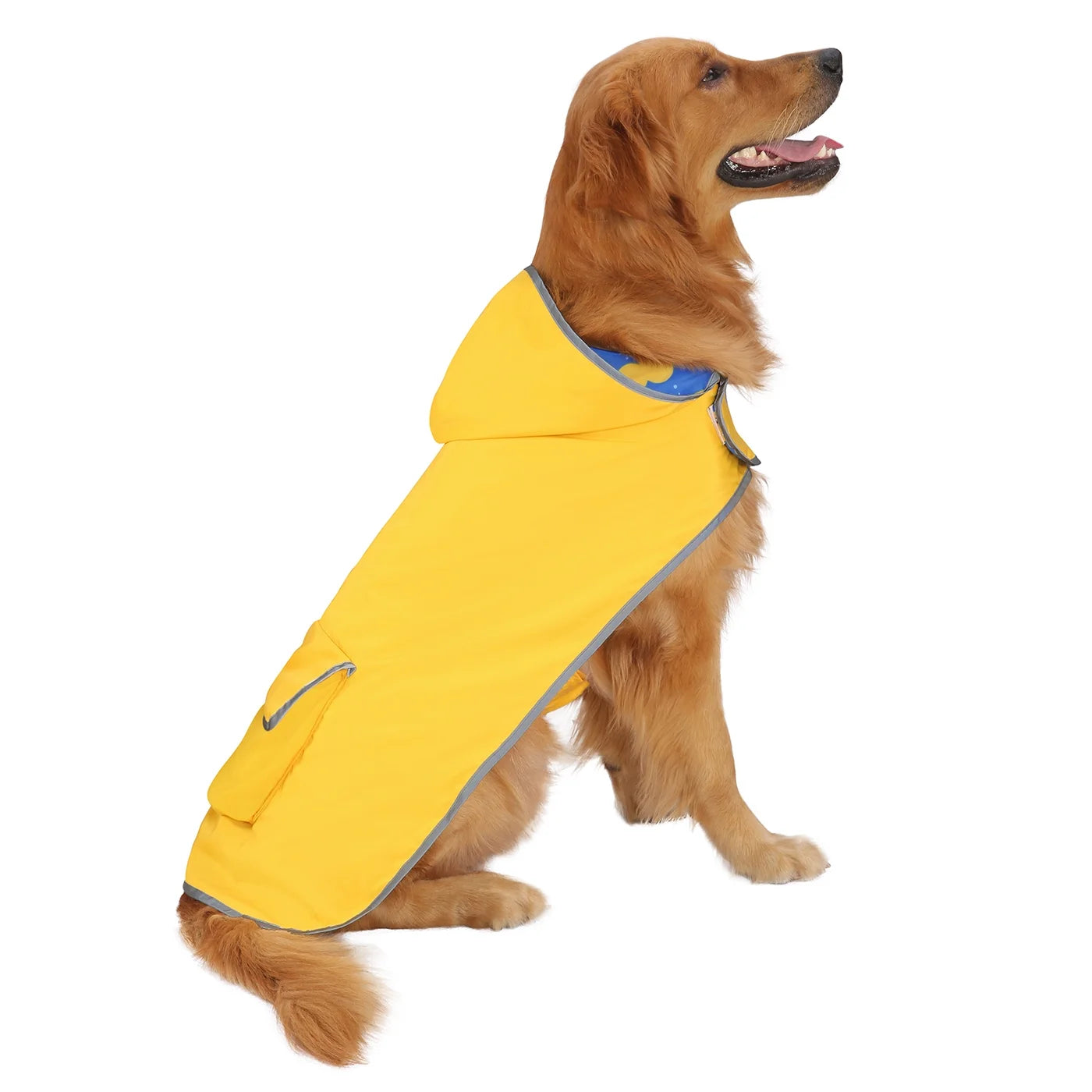 Reversible Waterproof Dog Raincoat with Hood - Yellow Duck/Floral Design, Available in Sizes XS to XXL