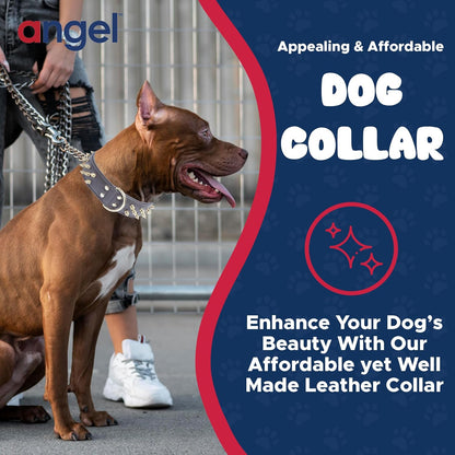 '- Amsterdam Spiked Dog Collar, Genuine Leather Dog Collar for Large Dogs to Extra Large Dogs, Water-Resistant, Thick Dog Collar with D-Ring, Chocolate Brown Collar, 22 X 1.5 Inches