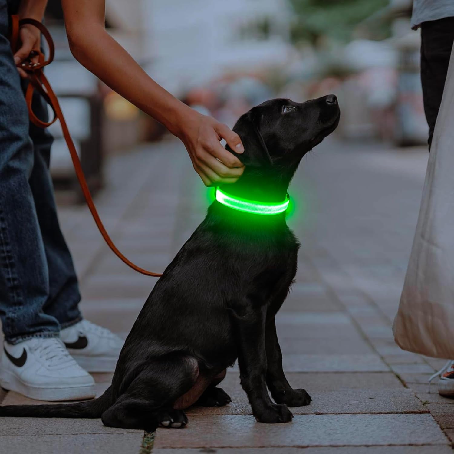 Rechargeable LED Dog Collar - Glow-in-the-Dark Safety Light for Night Walking and Camping (Green, Large)