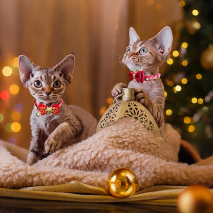 Christmas Cat Collar Set with Bells and Bowtie - Adjustable Breakaway Design Featuring Christmas Tree and Santa Claus Patterns (Fits 8"-12")