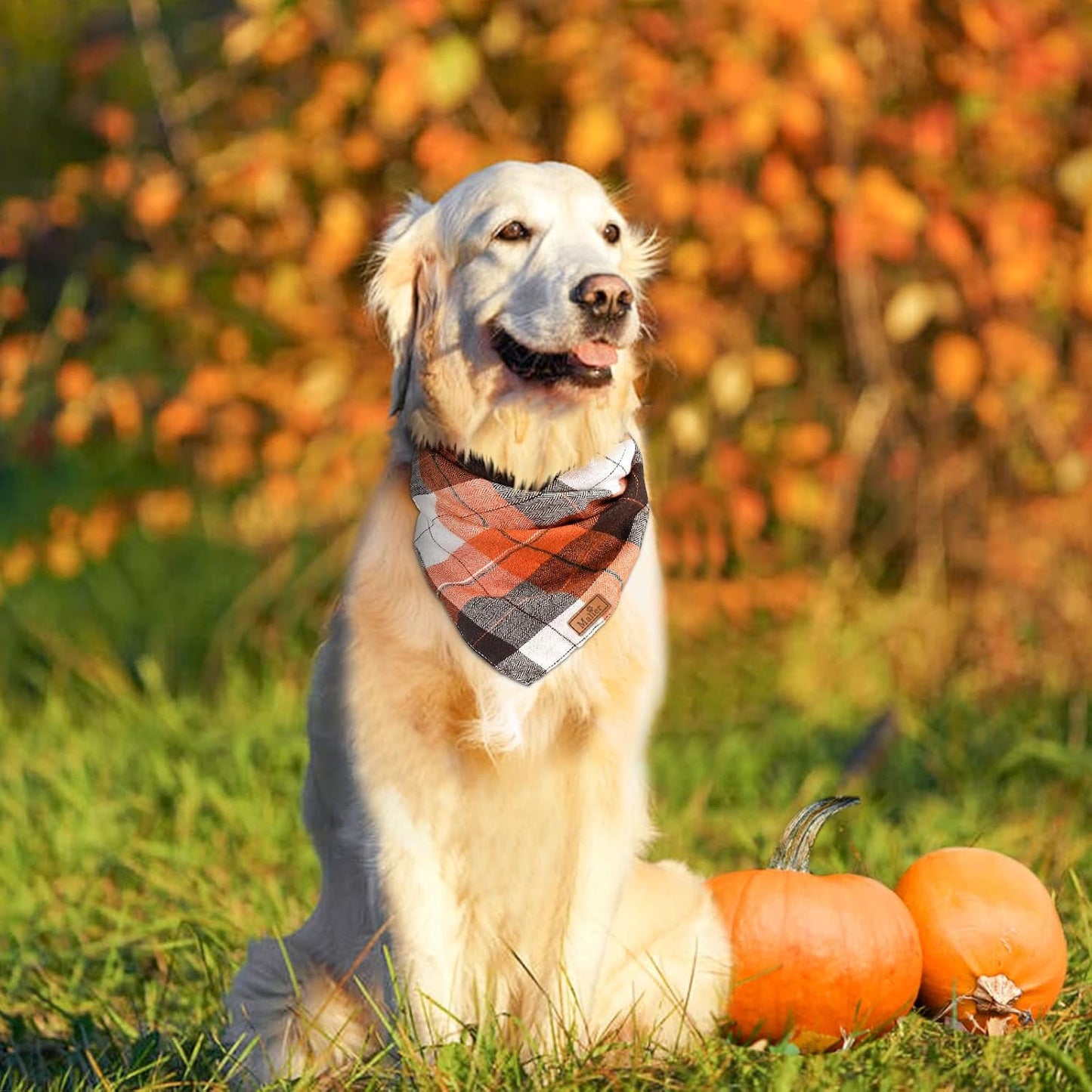 2 Pack Thanksgiving Plaid Dog Bandanas, Fall & Holiday Orange Dog Scarves with Halloween Design, Reversible Pet Bib Accessory for Small and Large Dogs