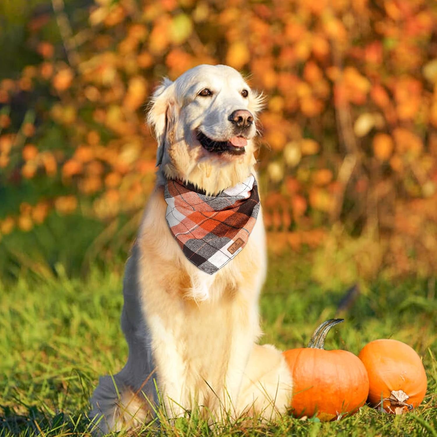 2 Pack Thanksgiving Plaid Dog Bandanas, Fall & Holiday Orange Dog Scarves with Halloween Design, Reversible Pet Bib Accessory for Small and Large Dogs