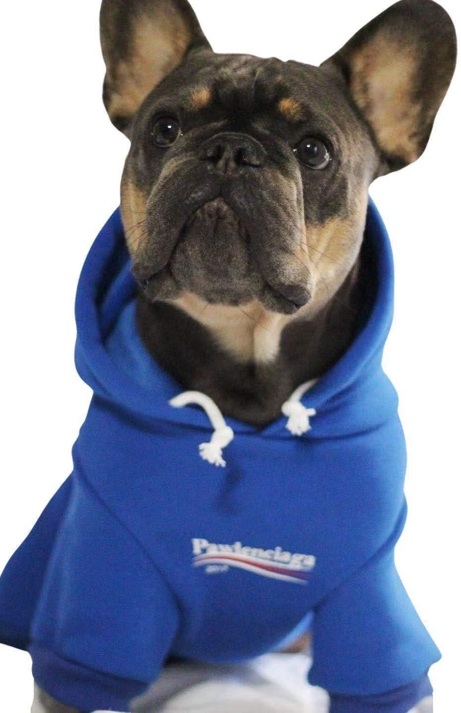 Trendy Blue Dog Sweatshirt & Cat Hoodie Tracksuit - Perfect Outfit for Small to Medium Pets (XL)