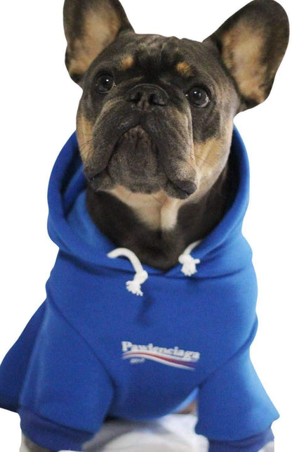 Trendy Blue Dog Sweatshirt & Cat Hoodie Tracksuit - Perfect Outfit for Small to Medium Pets (XL)