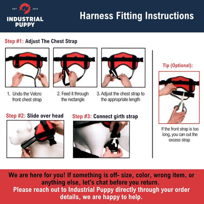 Service Dog Harness with Adjustable Hook and Loop Straps and Handle - Available in 8 Sizes from XXXS to XXL - Features Reflective Patch and Comfortable Mesh Design in Bright Red