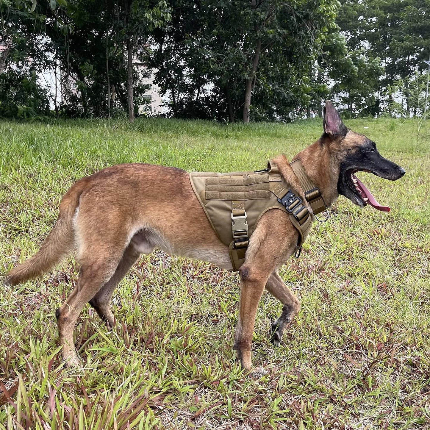 Tactical Dog Harness,X-Large Size, 2X Metal Buckle,Working Dog MOLLE Vest with Handle,No Pulling Front Leash Clip,Hook and Loop Panel