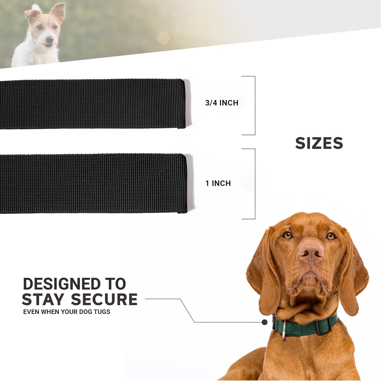 Waterproof Leopard Print Dog Collar - Adjustable 3/4 Inch Width, Fits Small Neck Sizes 8.5-12.5 Inches