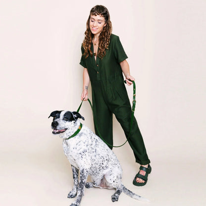 Olive Tiger Match Your Pet Gift Set
