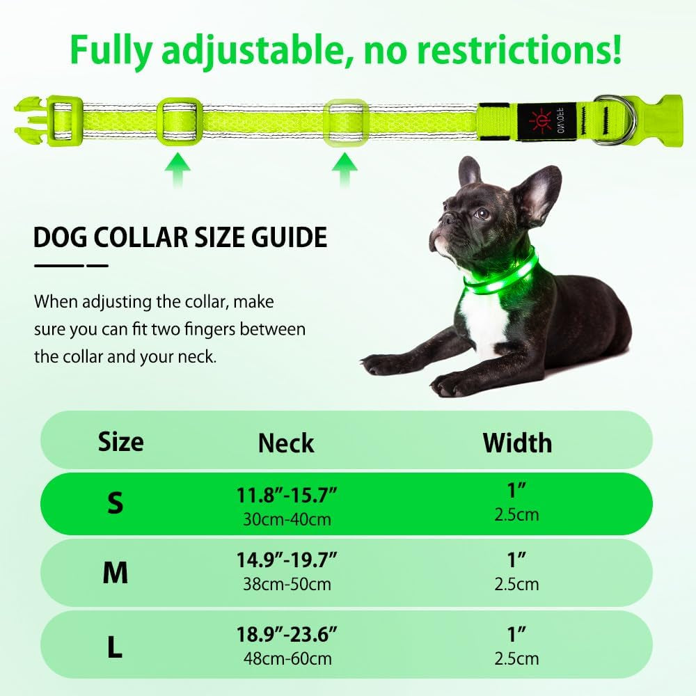 USB Rechargeable LED Dog Collar - High Visibility Glow in the Dark for Night Walking (Small, Fluorescent Green)