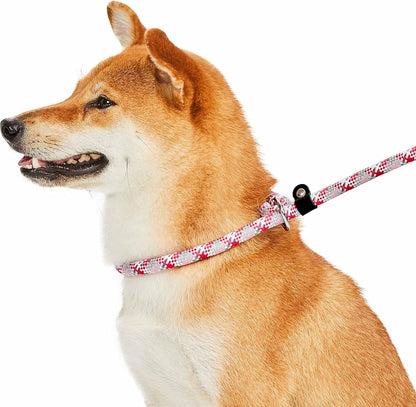 Durable Diagonal Striped Dog Training Leash Set with Comfortable Neoprene Handle, Pink, 6 Ft