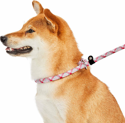 Durable Diagonal Striped Dog Training Leash Set with Comfortable Neoprene Handle, Pink, 6 Ft