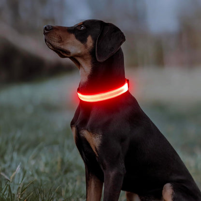 USB Rechargeable LED Dog Collar - Adjustable Glow-in-the-Dark Pet Collar for Nighttime Walks (Red, Medium)