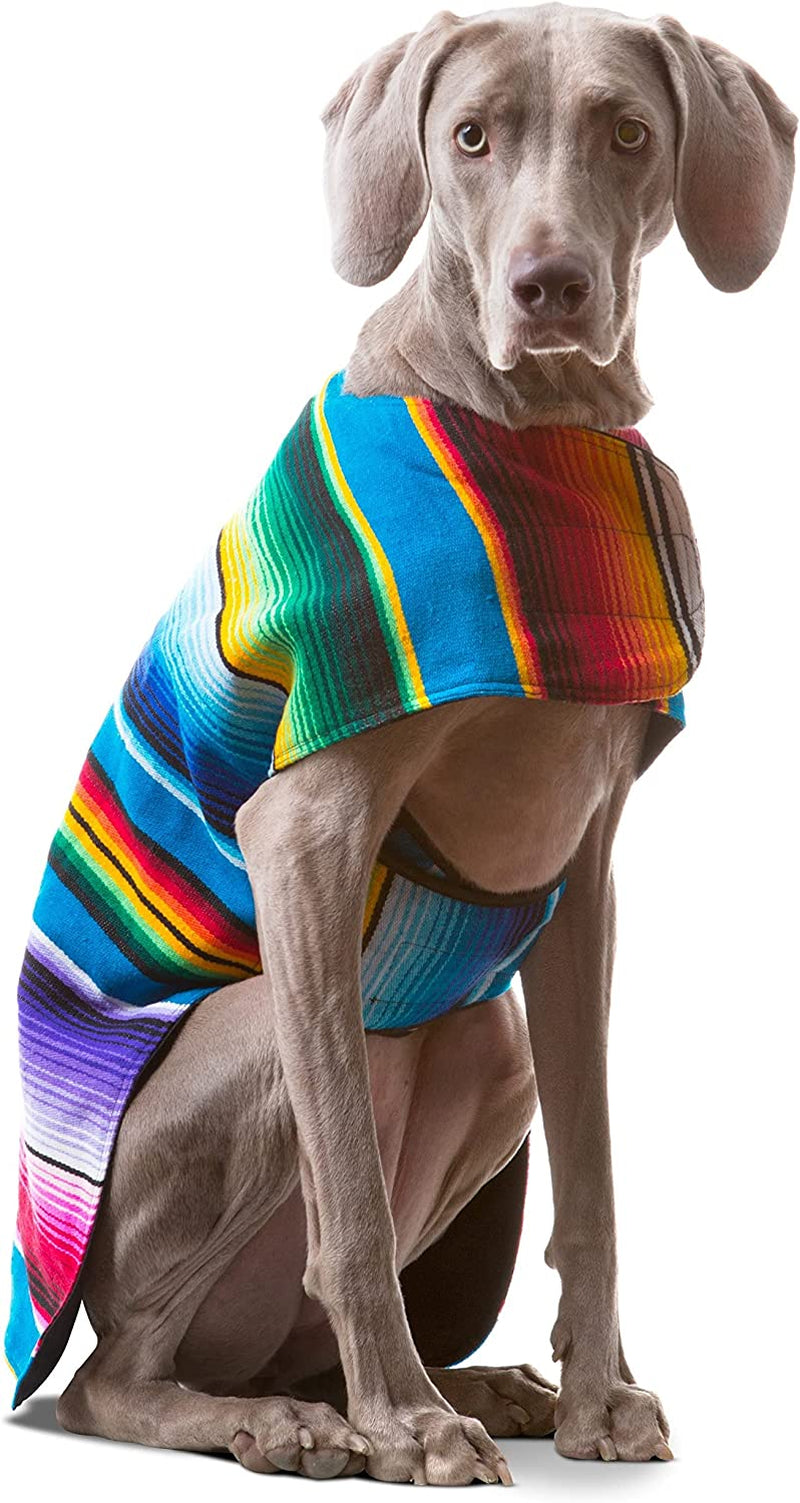 Stylish Blue Handcrafted Dog Poncho from Authentic Mexican Blanket - Perfect for Large Dogs!