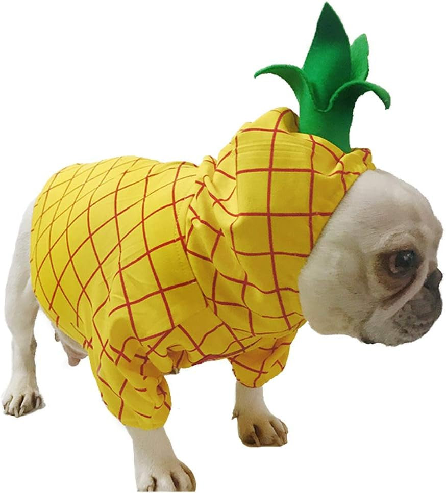 Pineapple-Inspired Dog Costume for Halloween, Christmas, and Special Occasions