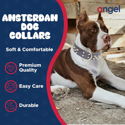 '- Amsterdam Spiked Dog Collar, Genuine Leather Dog Collar for Large Dogs to Extra Large Dogs, Water-Resistant, Thick Dog Collar with D-Ring, Chocolate Brown Collar, 22 X 1.5 Inches