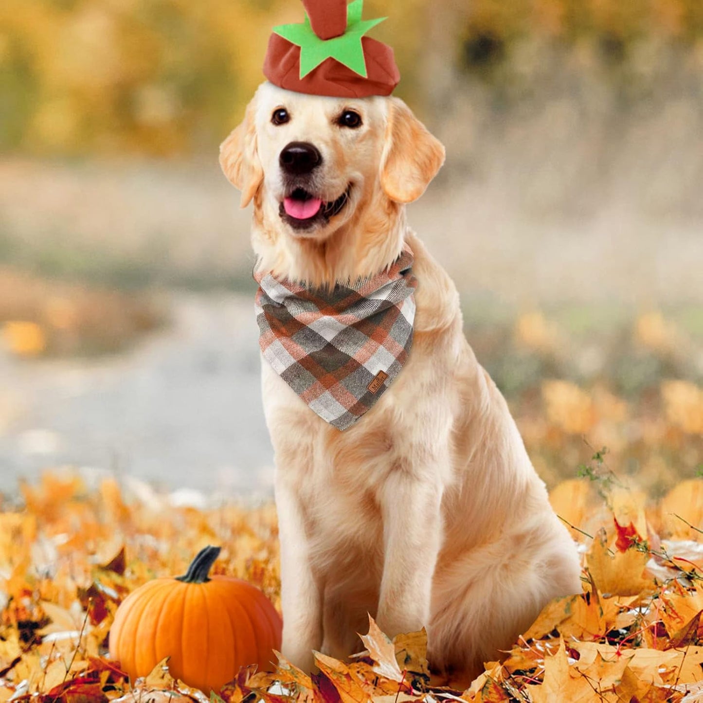 2 Pack Thanksgiving Plaid Dog Bandanas, Fall & Holiday Orange Dog Scarves with Halloween Design, Reversible Pet Bib Accessory for Small and Large Dogs