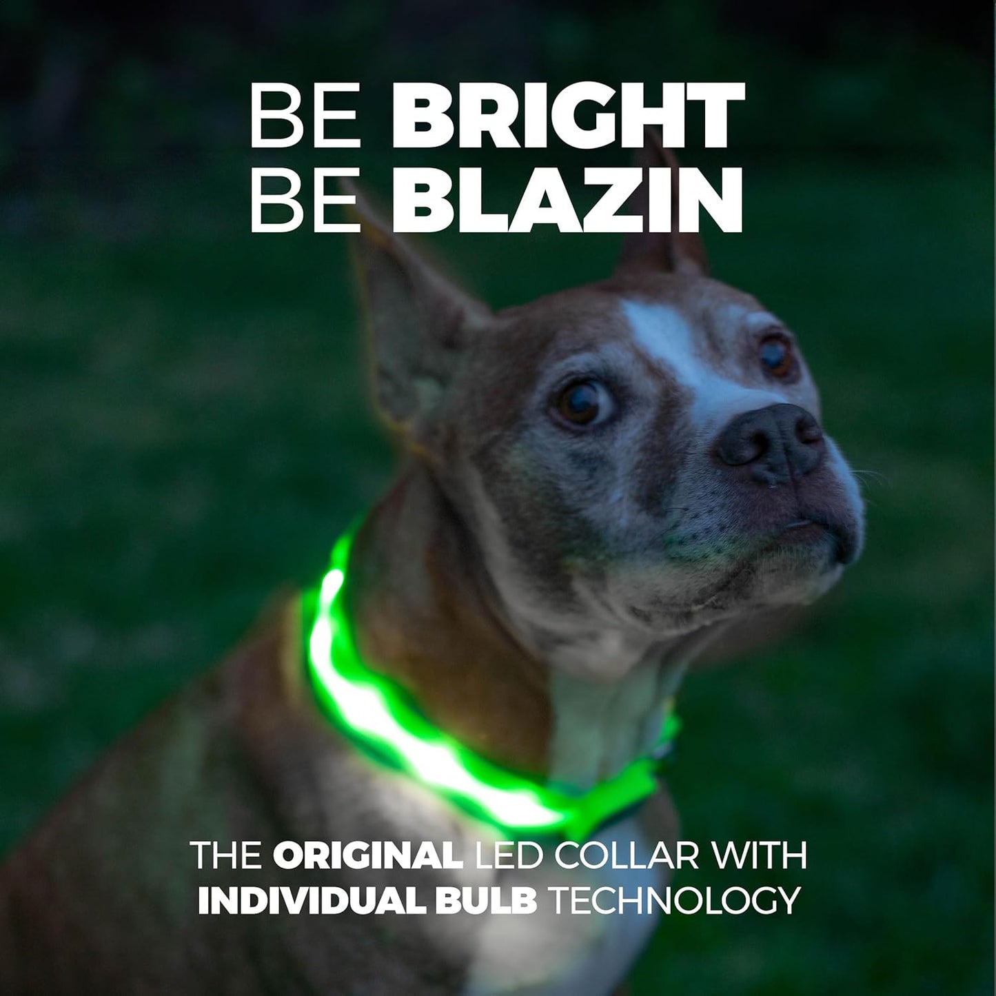 Light up Dog Collar - the Original LED Dog Collar - USB Rechargeable - Waterproof - 1,000 Feet of Visibility - Dog Collar Light for Small, Medium, Large Dogs - USA Brand