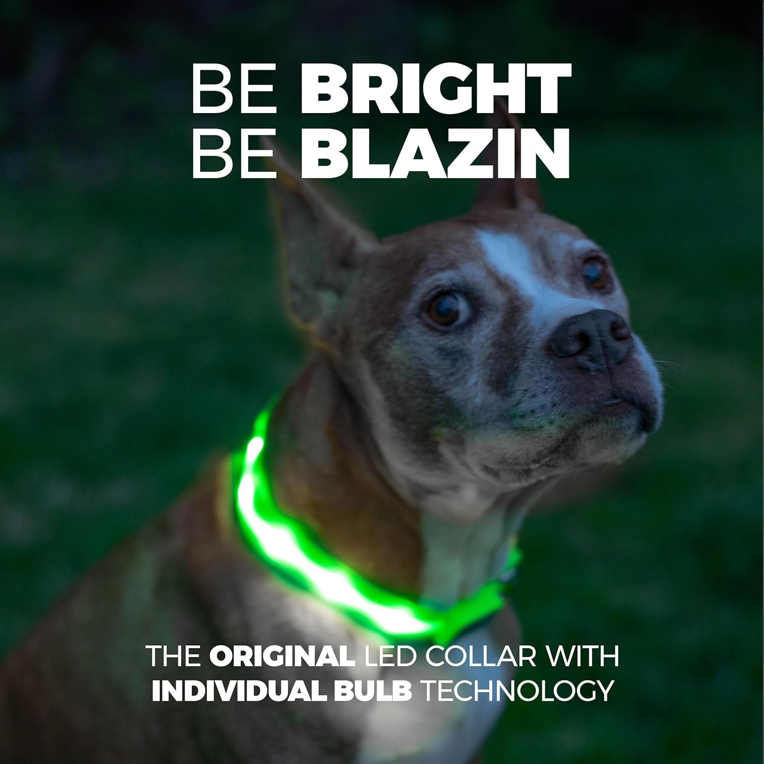Light up Dog Collar - the Original LED Dog Collar - USB Rechargeable - Waterproof - 1,000 Feet of Visibility - Dog Collar Light for Small, Medium, Large Dogs - USA Brand