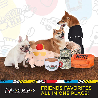 Stylish Black Dog Collar for Medium Breeds - Friends TV Show Merchandise with D-Ring