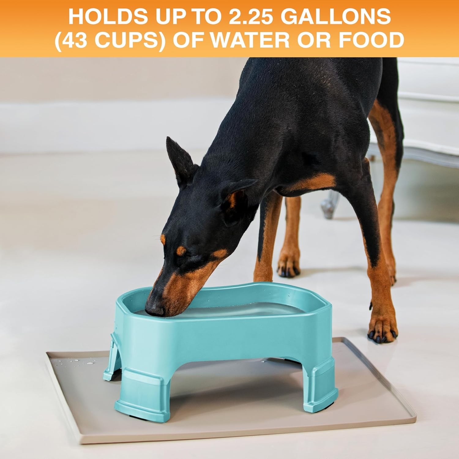 Extra Large Water Bowl for Dogs, Elevated Outdoor Dog Water Bowl (2.25 Gallon XL Capacity), Big Trough Style Food Dish for Indoors or Outside, No Spill Large Dog Bowls, Aquamarine